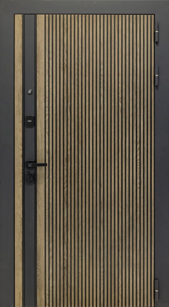 Входная дверь ДвериПРО Rosna ФЛ-256 (10мм, бетон пепельный) DPRO196478 внешняя сторона